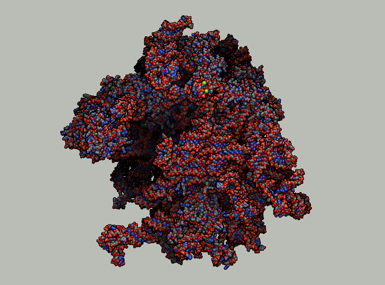 Avogadro 2 screenshot, showing a ribosome with Ambient Occlusion and Edge Detection on