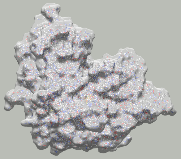 Avogadro 2 screenshot, showing a translucent surface generated around an aconitase molecule